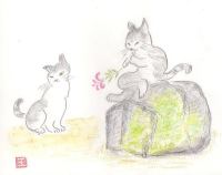 ���u�R�[���L